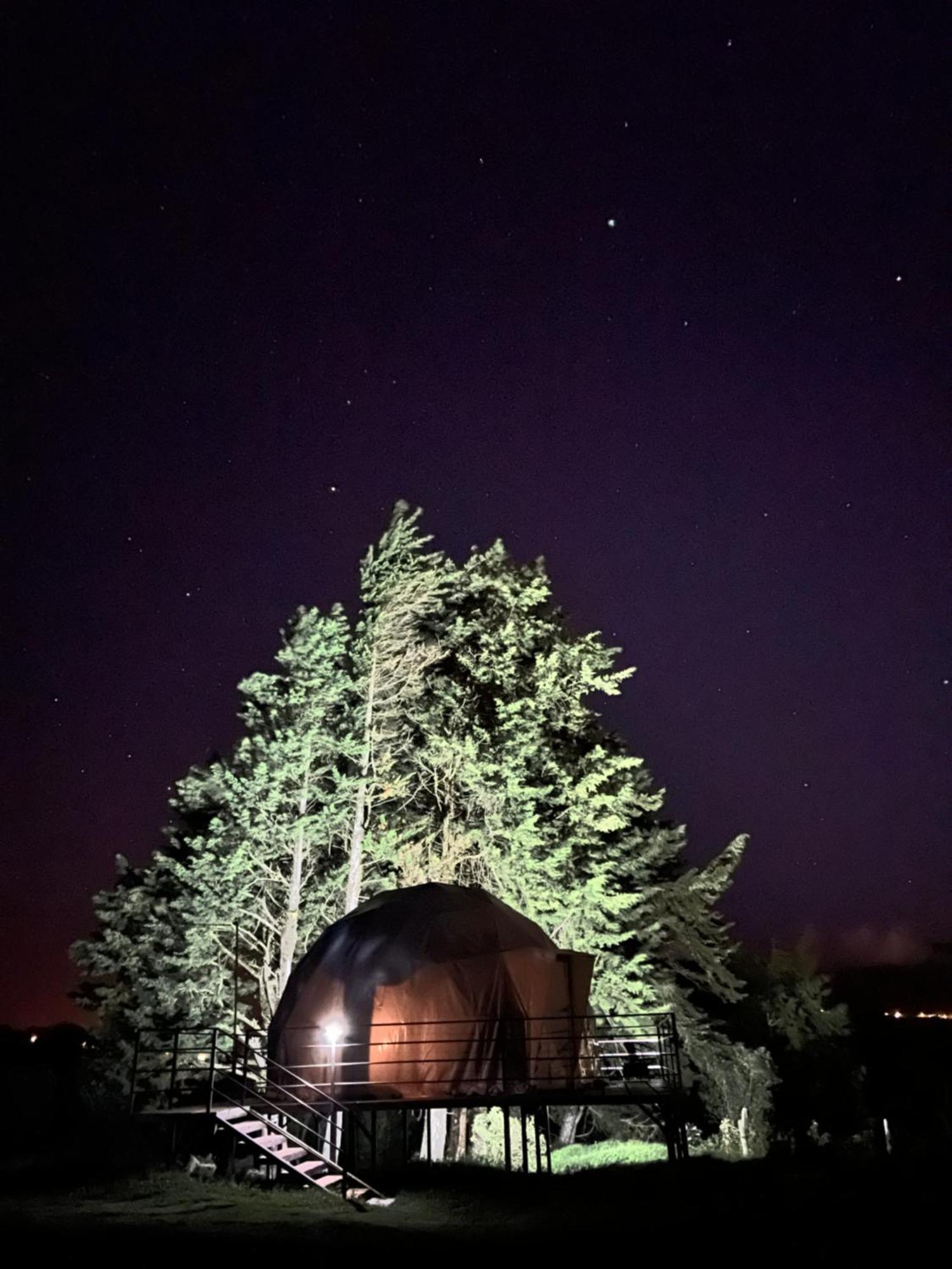 Green Noise Glamping Fraijanes Экстерьер фото